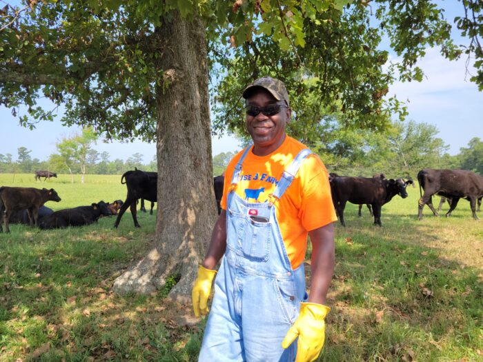 African American male farmer standing in front of animals